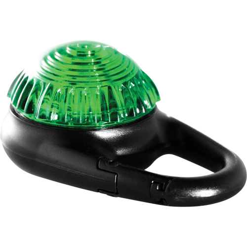 TAG-IT Guardian Warning Light, Continuous/Flashing, Green Groupe Belzile Dickner