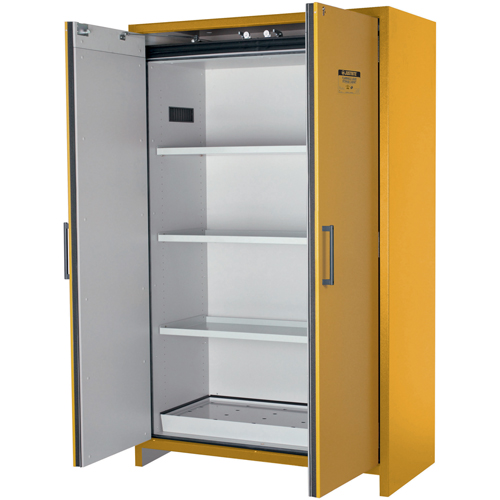 Armoire d'entreposage 90 minutes s&eacute;curitaire et conforme &agrave; la norme EN, 45 gal., 2 Porte(s), 46,97" La x 76,89" h x 24,21" p Groupe Belzile Dickner