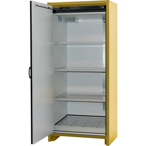 30-Minute EN Safety Storage Cabinet, 30 gal., 1 Door, 34.02" W x 76.65" H x 24.21" D Groupe Belzile Dickner