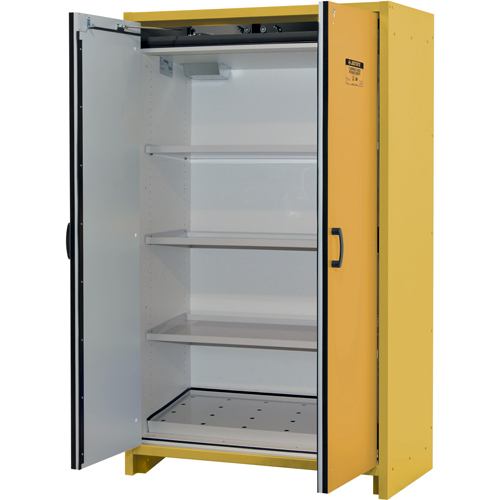 30-Minute EN Safety Storage Cabinet, 45 gal., 2 Door, 45.83" W x 76.65" H x 24.21" D Groupe Belzile Dickner