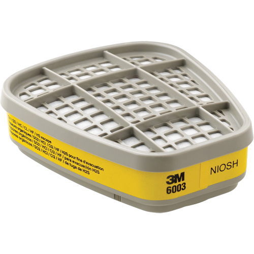 Cartouches pour respirateur s&eacute;rie 6000, Cartouche gaz/vapeur, Vapeurs organiques/Gaz acides Groupe Belzile Dickner