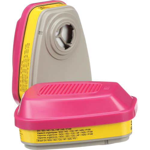 Cartouches pour respirateur s&eacute;rie 6000, Cartouche gaz/vapeur, Vapeurs organiques/Gaz acides/P100 Groupe Belzile Dickner