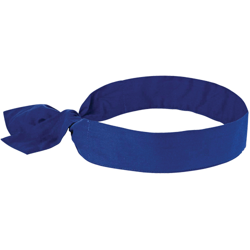 Chill-its&reg; 6700 Cooling Bandanas, Blue Groupe Belzile Dickner