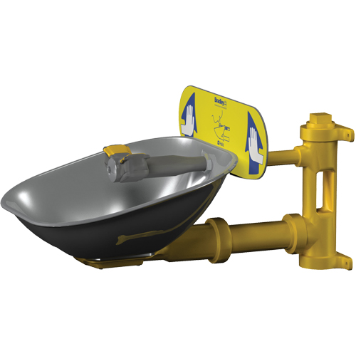 Poste de douche oculaire Halo, Installation Montage mural, Bol Acier inoxydable Groupe Belzile Dickner