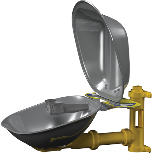 Halo Eyewash Stations, Wall-Mount Installation, Stainless Steel Bowl Groupe Belzile Dickner