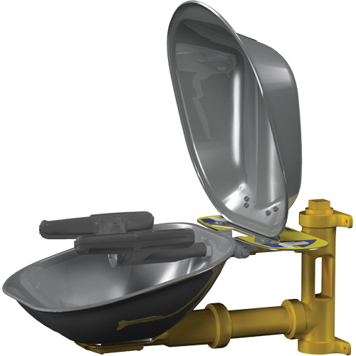 Postes de douche oculaire/faciale Halo, Installation Montage mural, Bol Acier inoxydable Groupe Belzile Dickner