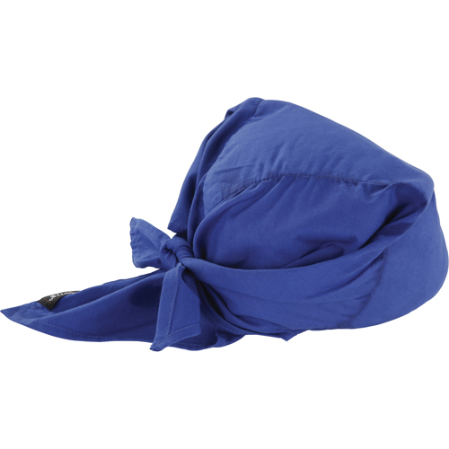 Foulards de refroidissement en triangle Chill-Its 6710CT, Bleu Groupe Belzile Dickner