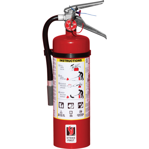 Extincteur d'incendie, ABC, Capacit&eacute; 5 lb Groupe Belzile Dickner