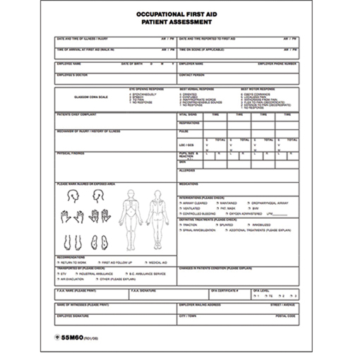 Patient Assessment Chart Groupe Belzile Dickner