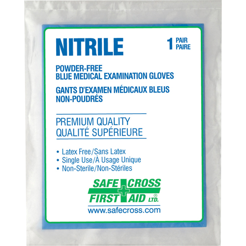 Gants d'examen m&eacute;dical, Grand, Nitrile, 5 mils, Sans poudre, Transparent, Classe 2 Groupe Belzile Dickner