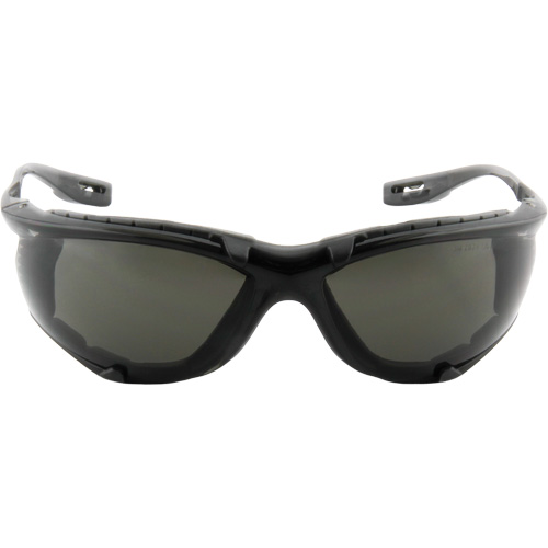 Virtua Safety Glasses with Foam Gasket, Grey/Smoke Lens, Anti-Fog, ANSI Z87+/Meets/Exceeds CSA Z94.3 Groupe Belzile Dickner