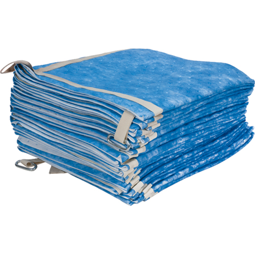 Balayage absorbant pour huile seulement Groupe Belzile Dickner