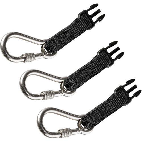 Carabiners Accessory Pack Groupe Belzile Dickner