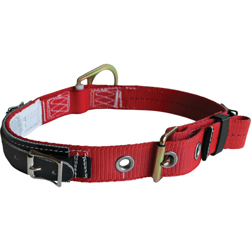 Tongue Buckle Belt Groupe Belzile Dickner