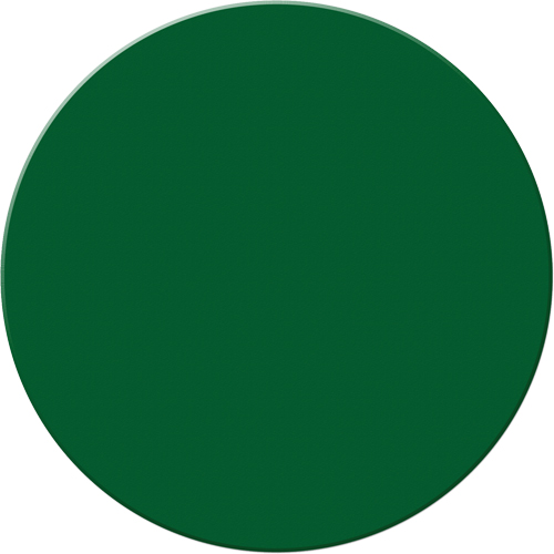 Armor Stripe Lean/5S Markers, Circle, 6" L x 6" W, Green, Plastic Groupe Belzile Dickner