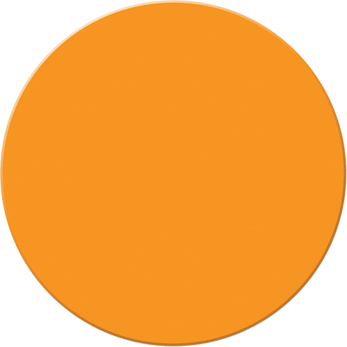 Armor Stripe Lean/5S Markers, Circle, 6" L x 6" W, Orange, Plastic Groupe Belzile Dickner