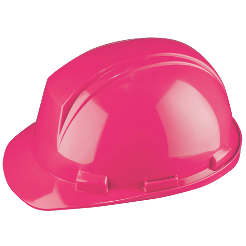 Dynamic Mont-Blanc Hardhat, Meets CSA Type 2, Pinlock Suspension, Non-Vented Groupe Belzile Dickner