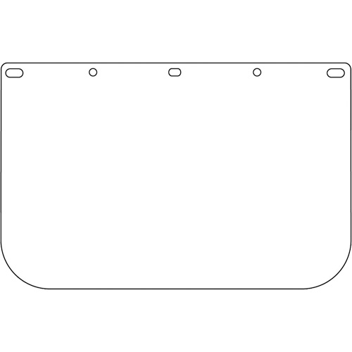 Dynamic Die Cut Faceshield Visor, Polycarbonate, Clear Tint Groupe Belzile Dickner