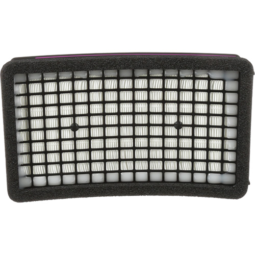 Speedglas HE PAPR Cartridge, P100 Filter, Pack of 1 Groupe Belzile Dickner