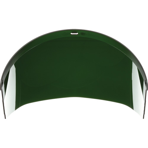 &eacute;cran facial, Polycarbonate, Teinte 5,0 Groupe Belzile Dickner