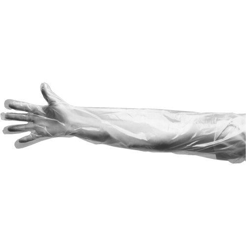 Disposable Gloves, Large, Polyethylene, 9-mil, Powdered, Clear Groupe Belzile Dickner
