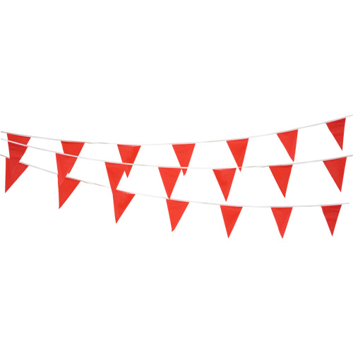 Pennant String, 60' L, Red Groupe Belzile Dickner