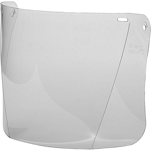 Visi&egrave;re de rechange, Polycarbonate, Teinte Transparent Groupe Belzile Dickner
