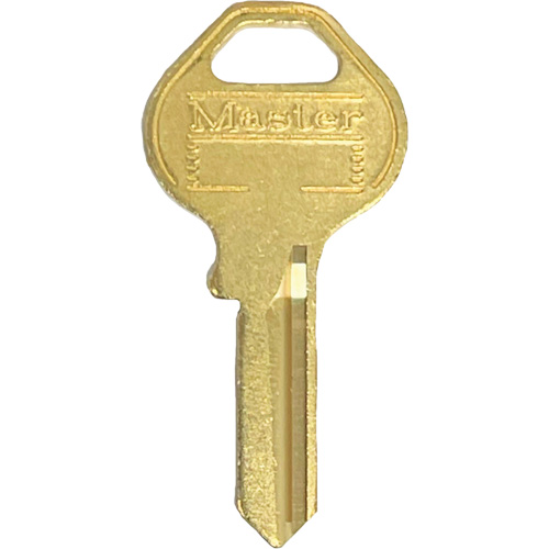 Padlock Master Key Groupe Belzile Dickner