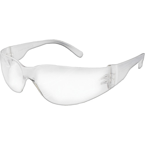 NOVA E-Series Safety Glasses, Clear Lens, Meets/Exceeds CSA Z94.3 Groupe Belzile Dickner