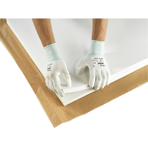 PX140 Coated Gloves, 6/X-Small, Polyurethane Coating, 15 Gauge, Nylon Shell Groupe Belzile Dickner