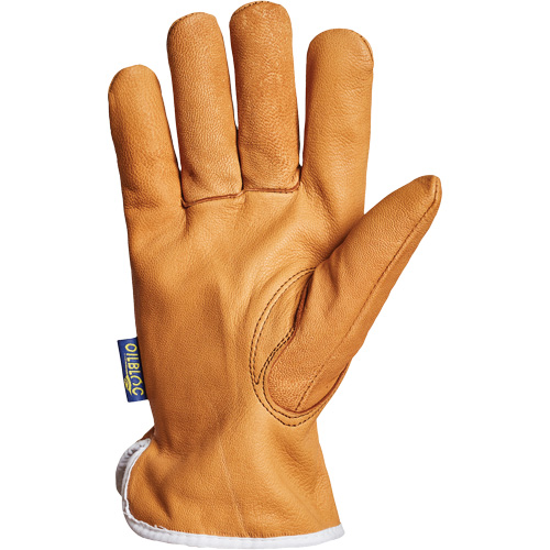 Gants de conducteur Endura, Petit, Paume en Cuir fleur de ch&egrave;vre, Thinsulate Groupe Belzile Dickner