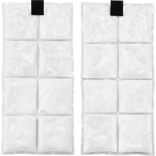Chill-Its&reg; 6250 Phase Change Cooling Vest Packs Groupe Belzile Dickner
