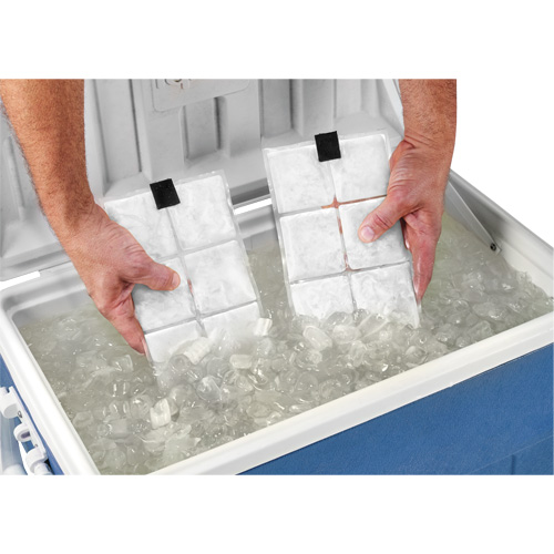 Chill-Its&reg; 6250 Phase Change Cooling Vest Packs Groupe Belzile Dickner