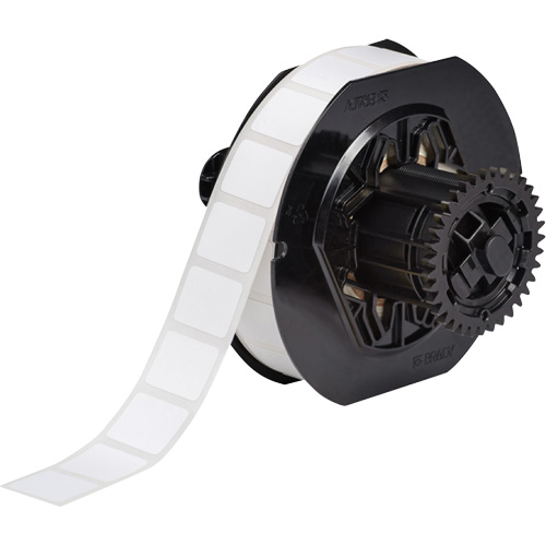 B33 Series Microscope Slide Laboratory Labels, Polyester, 0.9" L x 0.75" H, White Groupe Belzile Dickner