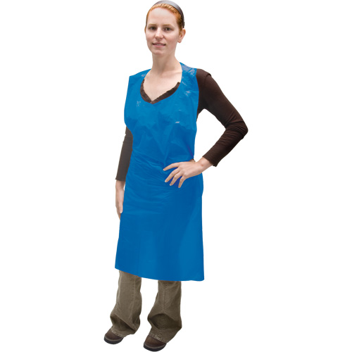 Polyethylene Apron, Polyethylene, Blue, 35" W x 46" L Groupe Belzile Dickner