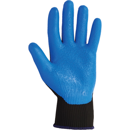 KleenGuard G40 Coated Gloves, 6/X-Small, Foam Nitrile Coating, 15 Gauge, Nylon Shell Groupe Belzile Dickner