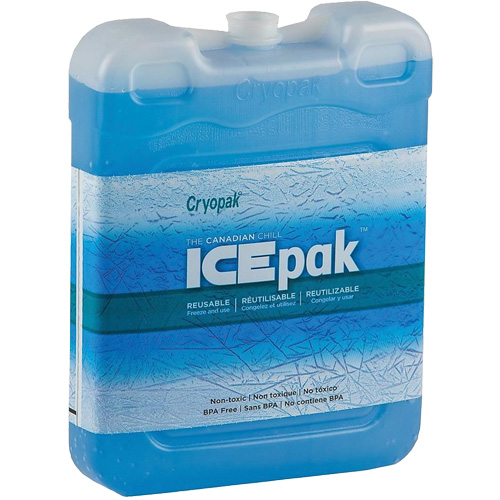 Ice-Pak IP-200 Reusable Transport Ice Pack Groupe Belzile Dickner