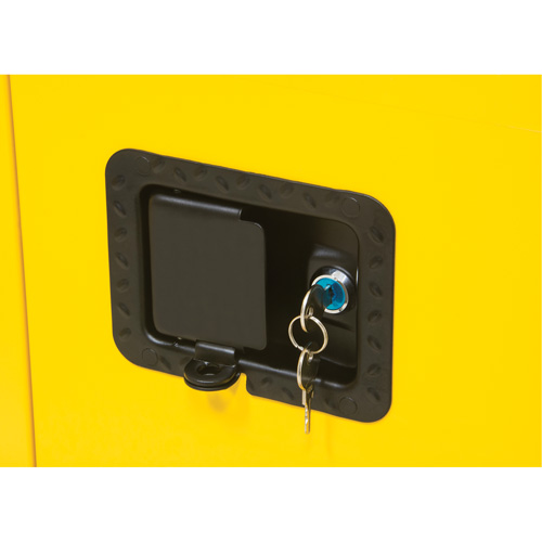 Flammable Storage Cabinet, 60 gal., 2 Door, 34" W x 65" H x 34" D Groupe Belzile Dickner