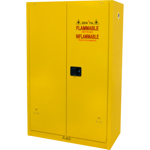 Armoire pour produits inflammables, 45 gal., 2 Porte(s), 43" La x 65" h x 18" p Groupe Belzile Dickner