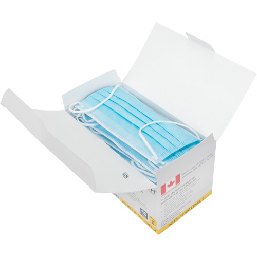 Disposable Procedure Face Masks, ASTM F2100 Level 2, Class 1 Groupe Belzile Dickner