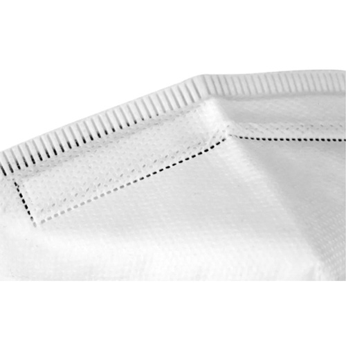 Disposable Respirator, N95, NIOSH Certified, One Size Groupe Belzile Dickner