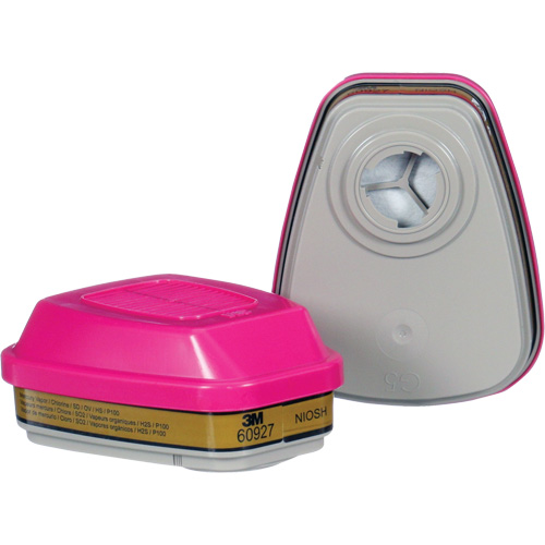 Cartouche, Combinaison cartouche et filtre contre les particules pour gaz/vapeurs, Gaz multiples/Vapeurs/P100 Groupe Belzile Dickner