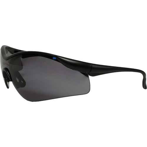 Miranda Safety Glasses, Grey Lens, Anti-Fog/Anti-Scratch, Meets/Exceeds CSA Z94.3 Groupe Belzile Dickner