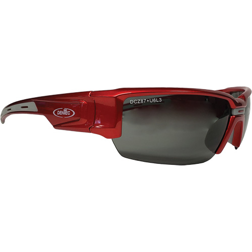 Lunettes de s&eacute;curit&eacute; Hartley, Lentille Gris, Polaris&eacute;, R&eacute;pond ou surpasse la norme CSA Z94.3 Groupe Belzile Dickner