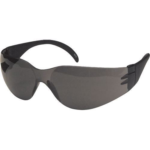 CeeTec Safety Glasses, Grey Lens, Anti-Fog/Anti-Scratch, Meets/Exceeds CSA Z94.3 Groupe Belzile Dickner