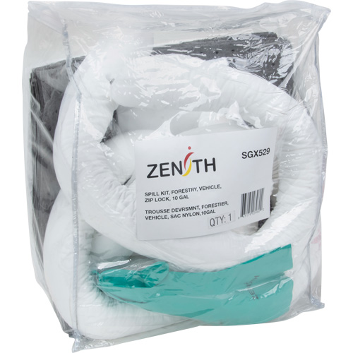 Trousse d'&eacute;quipement de lutte contre les d&eacute;versements, Huile seulement/Universel, Sac, Absorbance de 10 gal. US Groupe Belzile Dickner