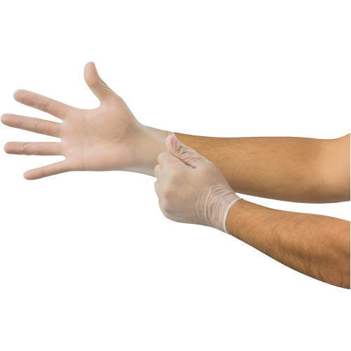 MicroFlex&reg; Disposable Gloves, X-Large, Vinyl, 2.8-mil, Powder-Free, Clear Groupe Belzile Dickner