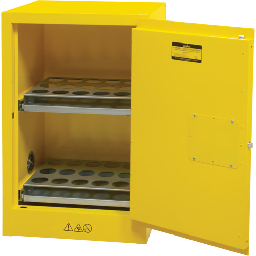 Flammable Aerosol Storage Cabinet, 12 gal., 1 Door, 23" W x 35" H x 18" D Groupe Belzile Dickner
