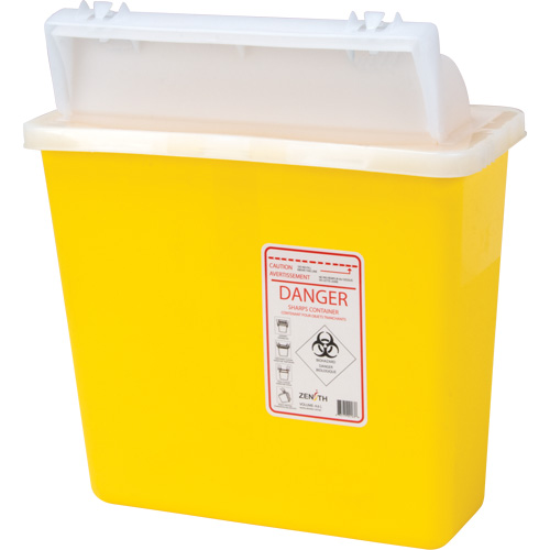 Sharps Container, 4.6L Capacity Groupe Belzile Dickner
