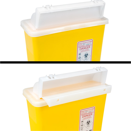 Sharps Container, 4.6L Capacity Groupe Belzile Dickner
